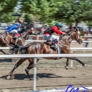 Meet your Posher, Rolando